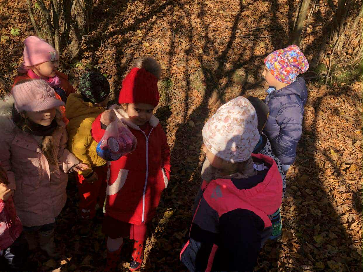 d8aba657-4211-4616-85bb-f5ba074c5e45