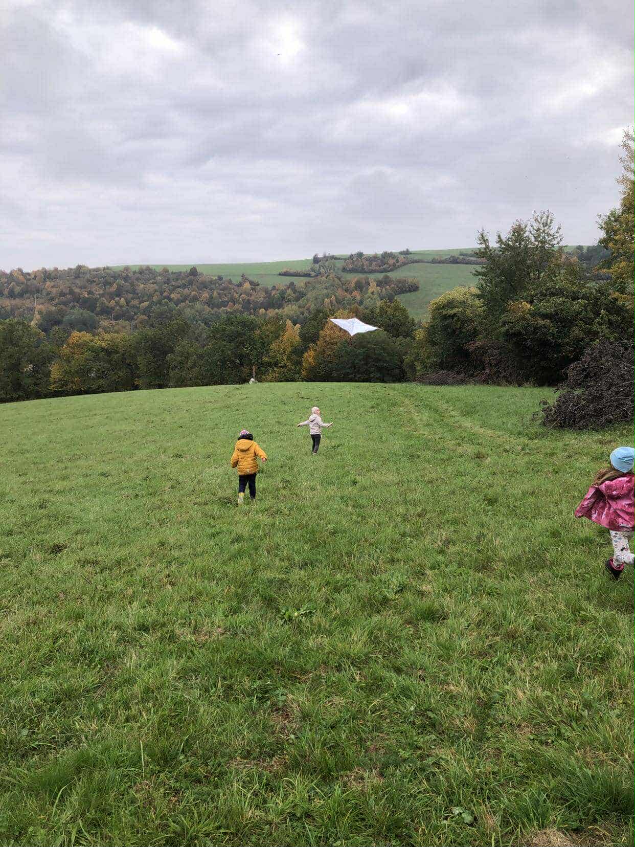 0cd42473-ce74-4c84-9954-8be4ca4d2d55