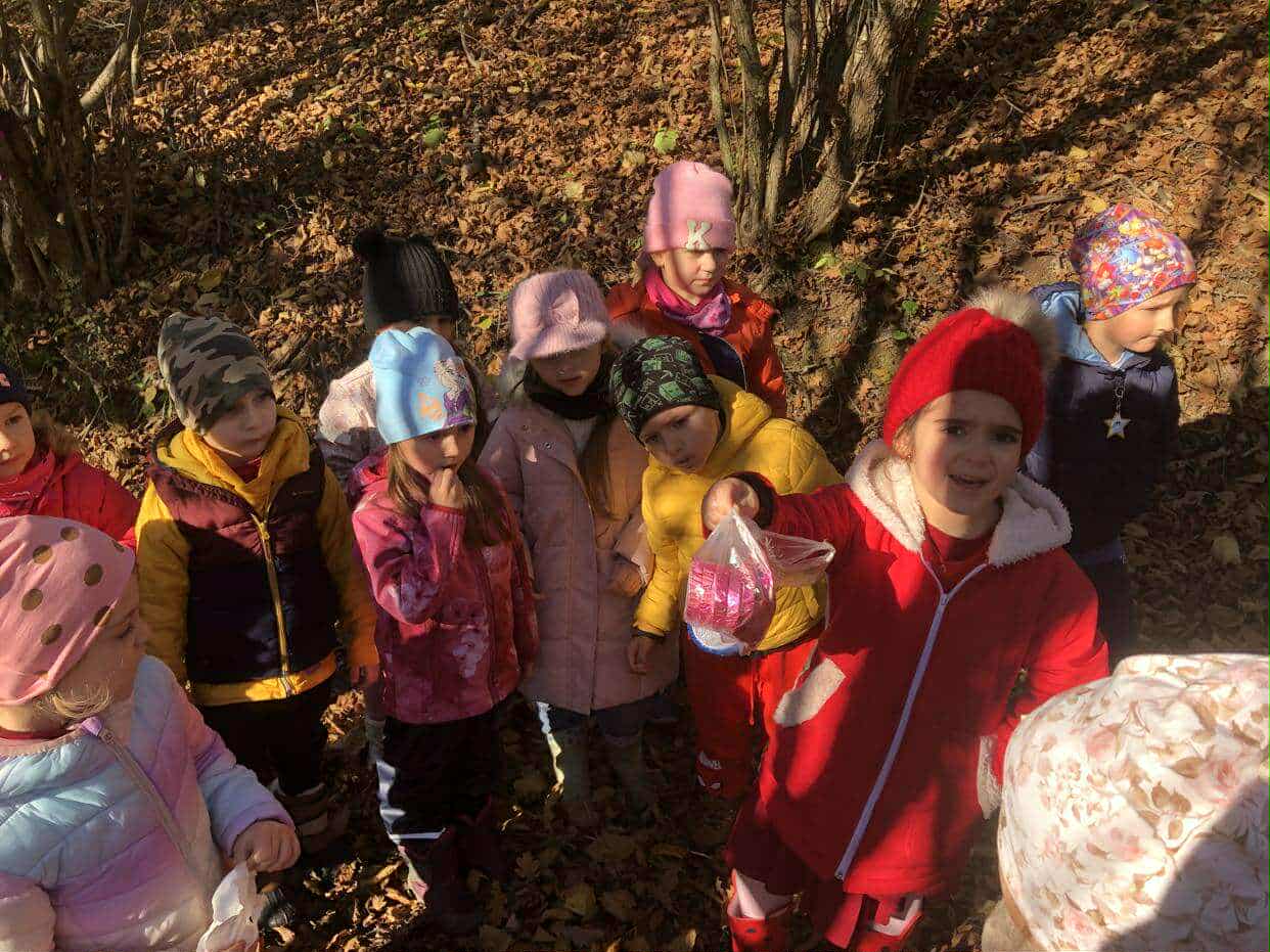 2b8b30c0-ce28-4ffb-a53f-3bec099f442f