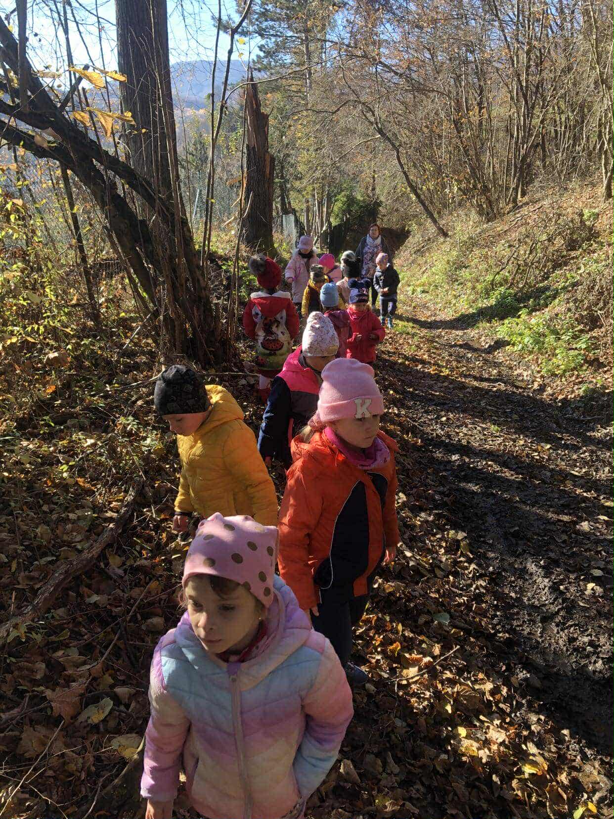 4a9e7a17-b979-498a-a553-decd26f48315