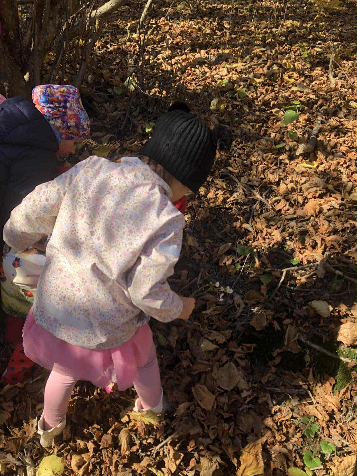 7adc9999-7628-4248-81f6-eb75c1e3b20c