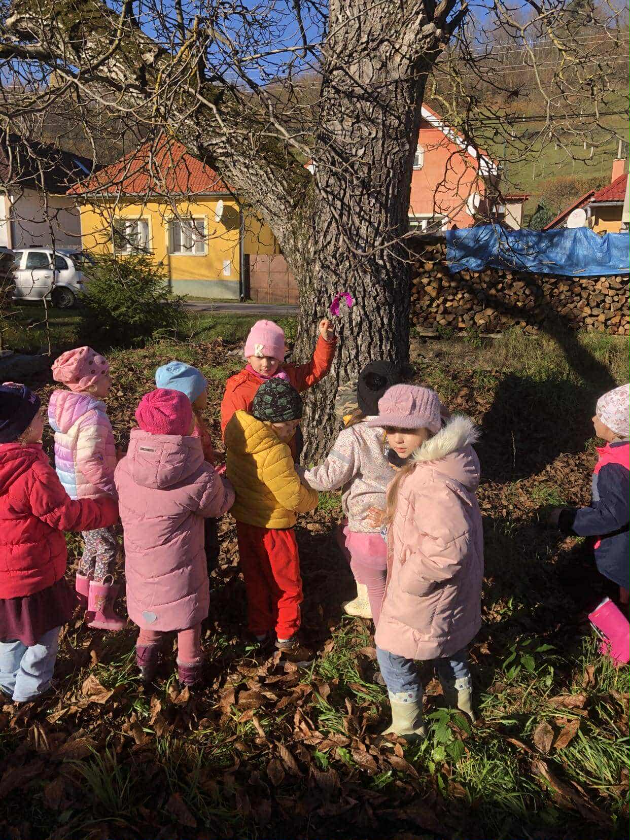 330d0290-3787-4046-8a4e-55470c55e64c