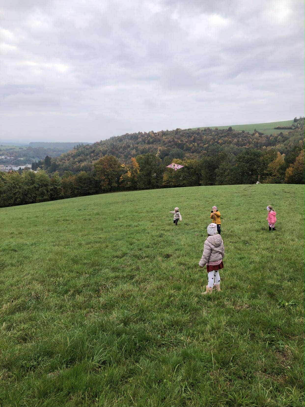 463bf68d-f686-4ec7-9e21-0612a26a1f22