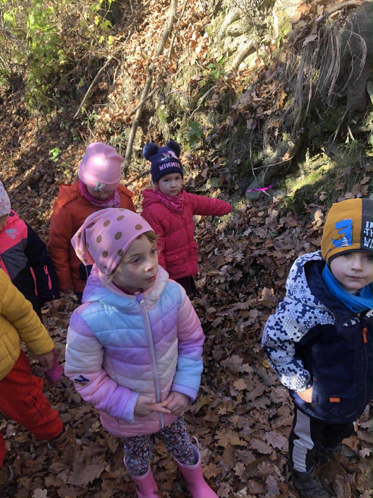 730c687a-5072-43d5-b036-a0d5719dd961