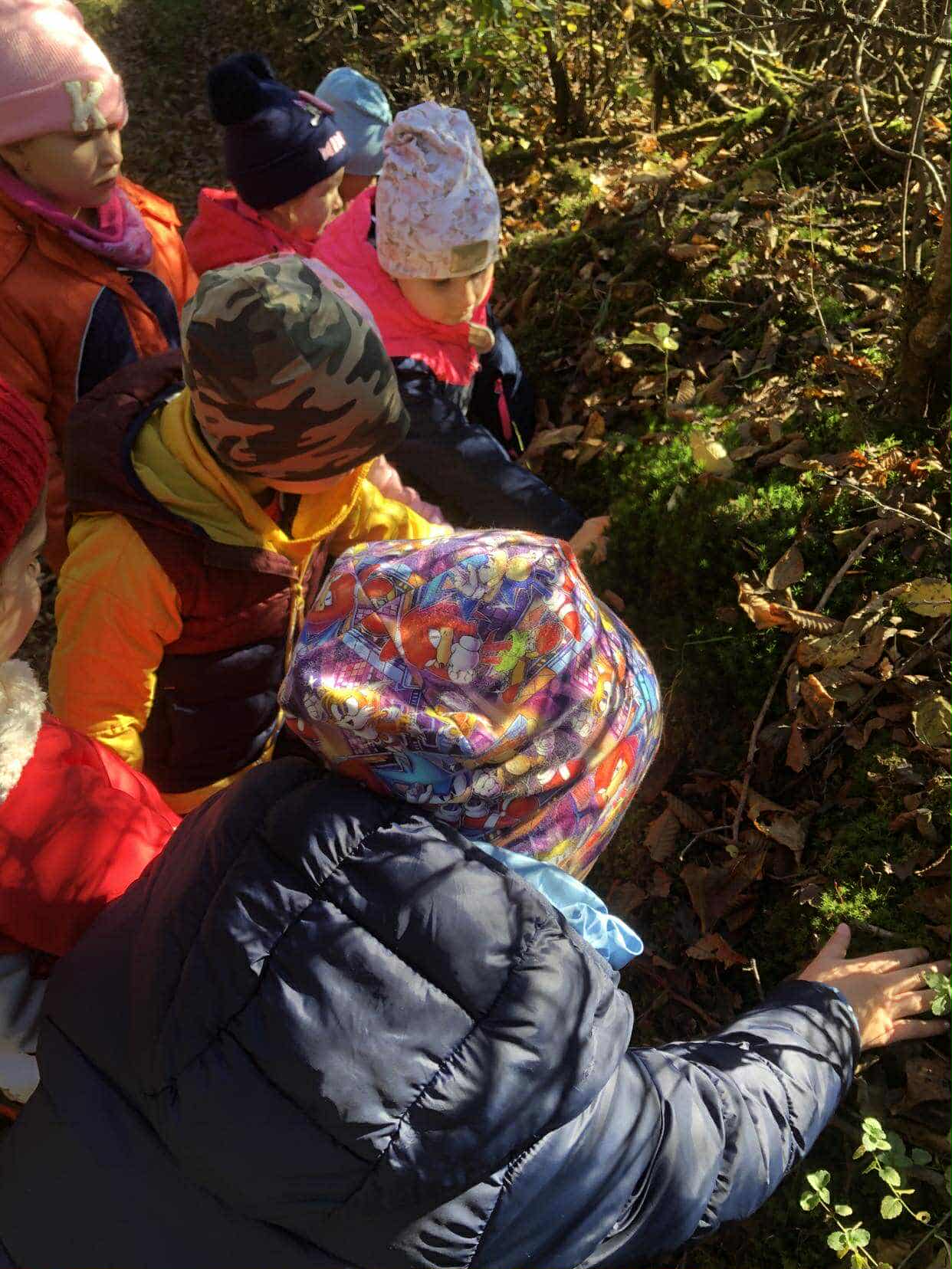 5280ee8c-df52-489d-9a86-f3f026cb431e