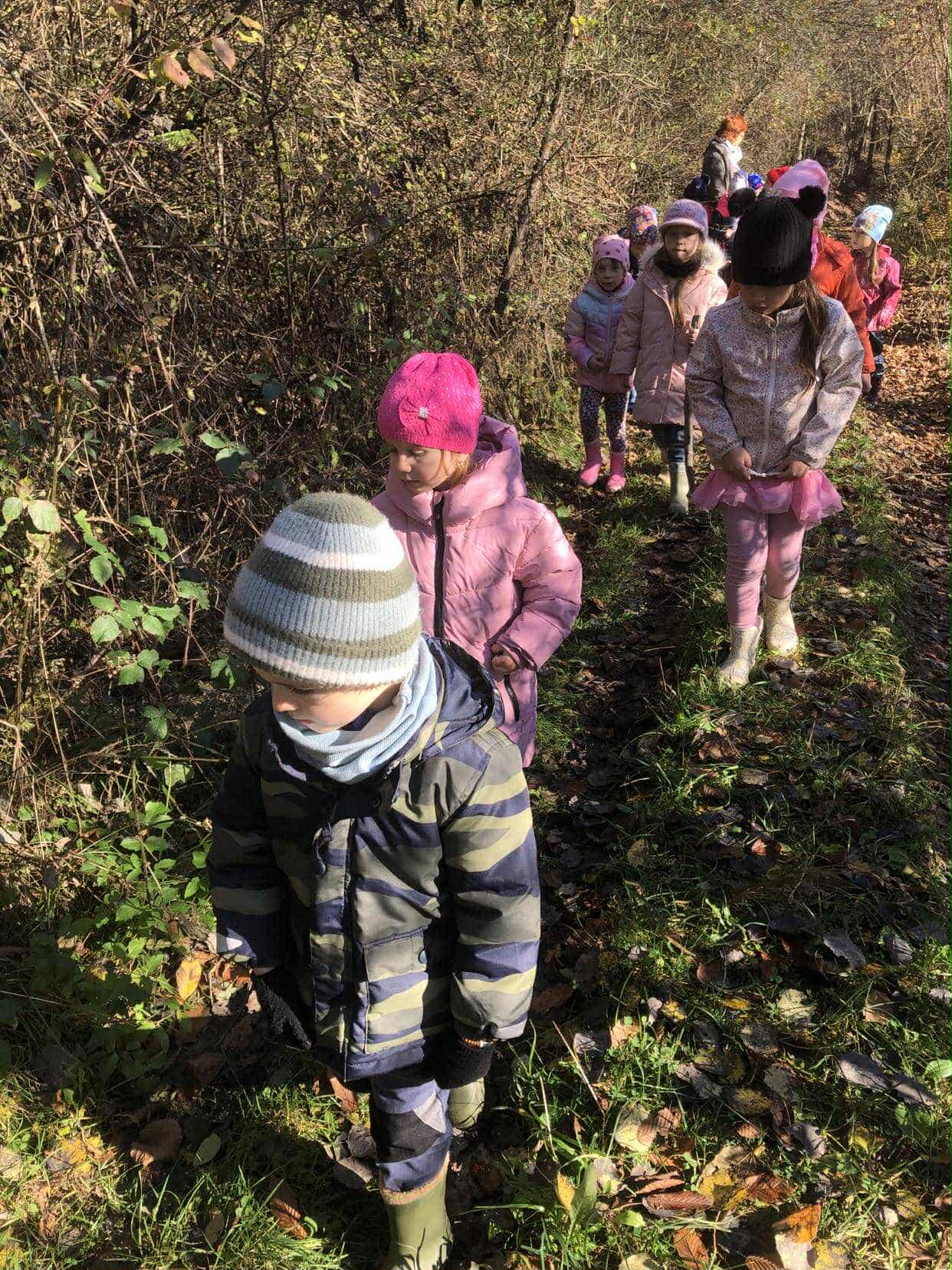 276214b6-3c24-4805-aad4-a519c5d3ba24