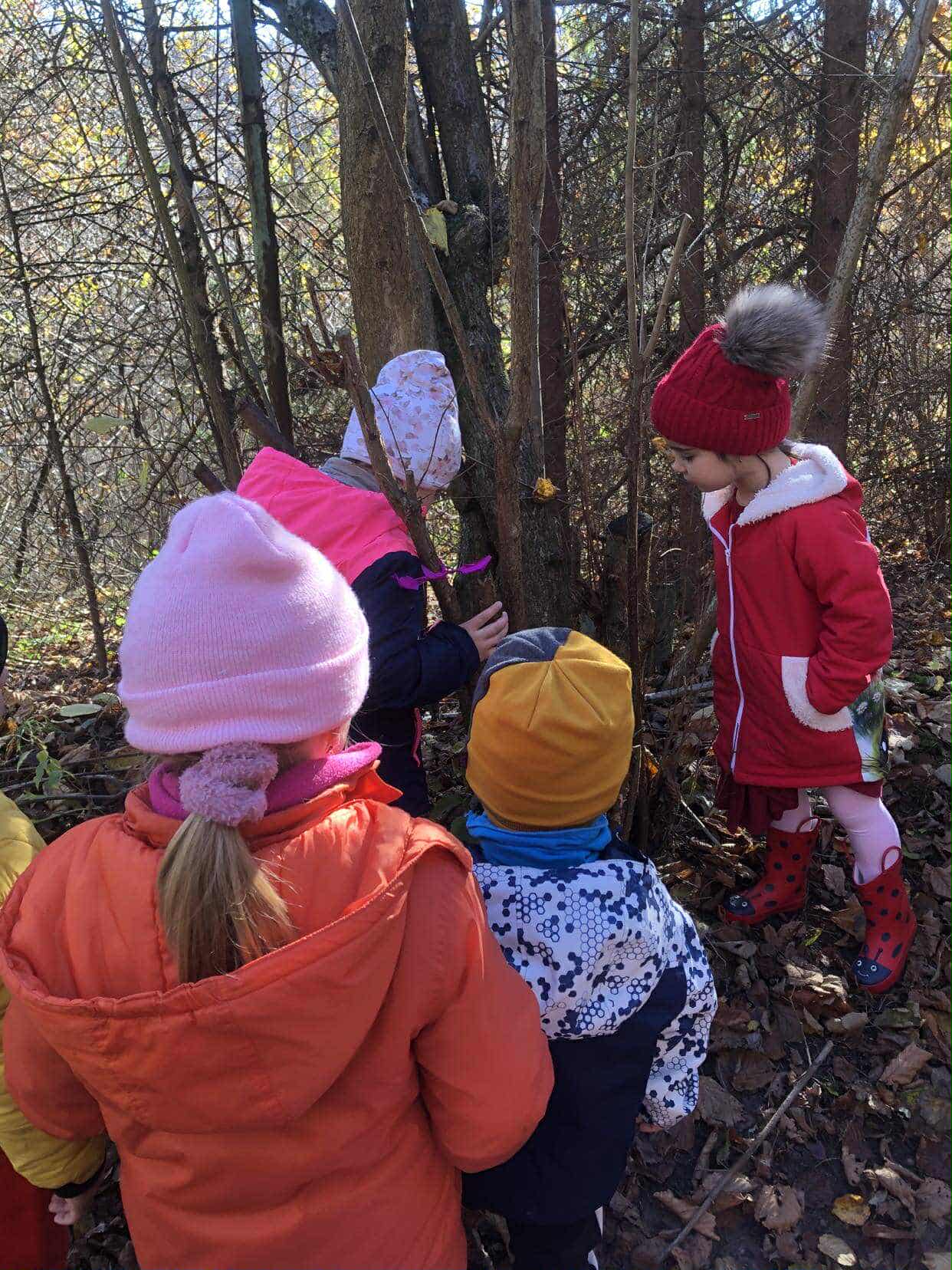 a5e0b745-d466-4eb4-a896-3d30a47c9995