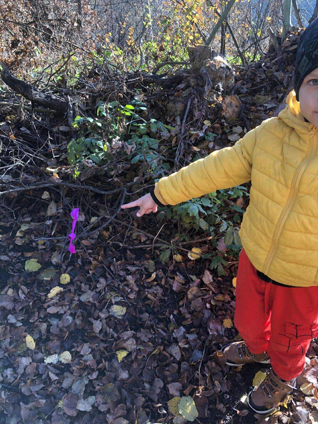 a6b592ea-7a5c-479c-833d-f7a1a3ab0c43