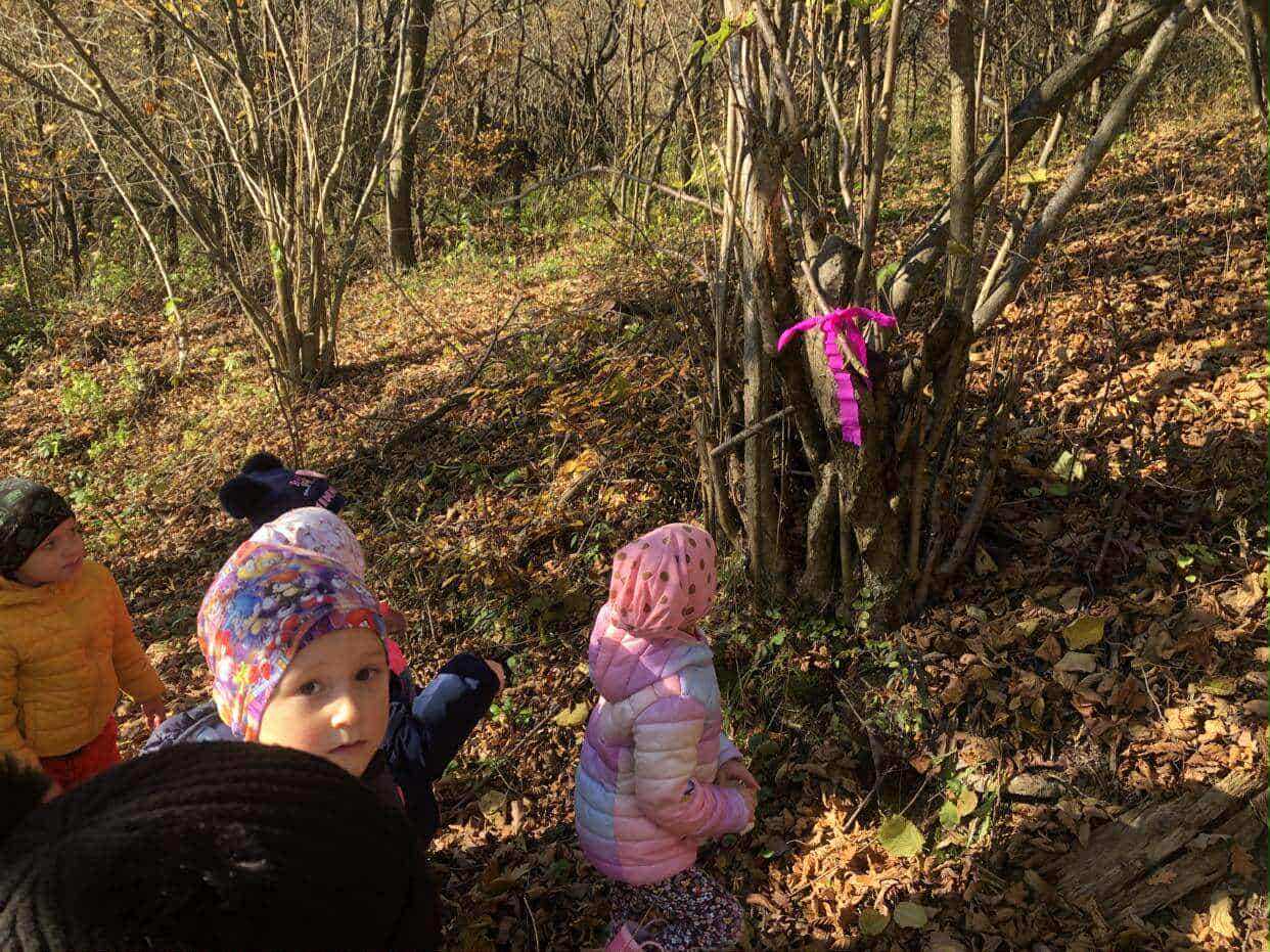 aefc4317-b085-4579-827c-444e52a937fd