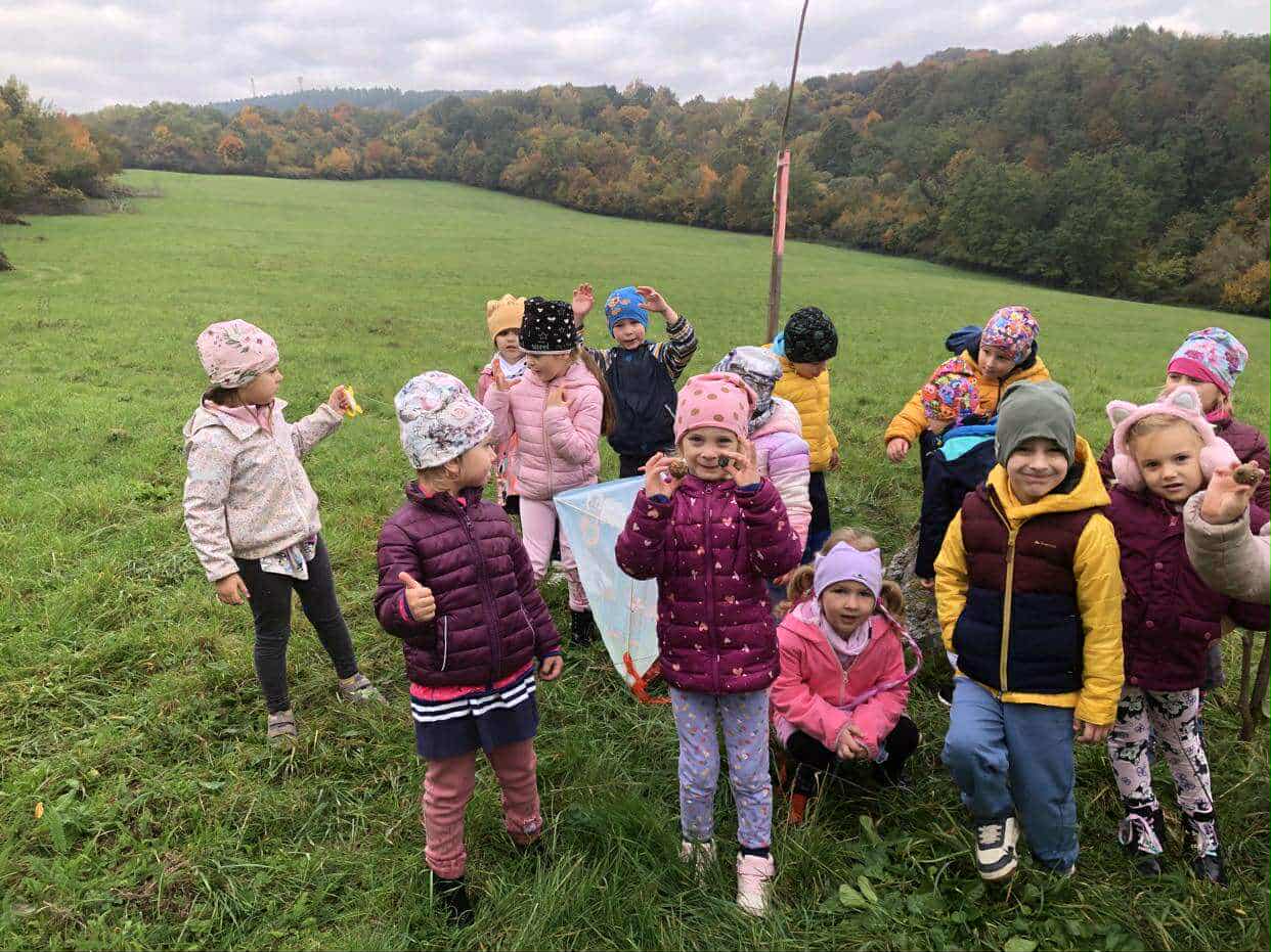 b9f14742-86a6-4018-9eb4-39a0c0522c11