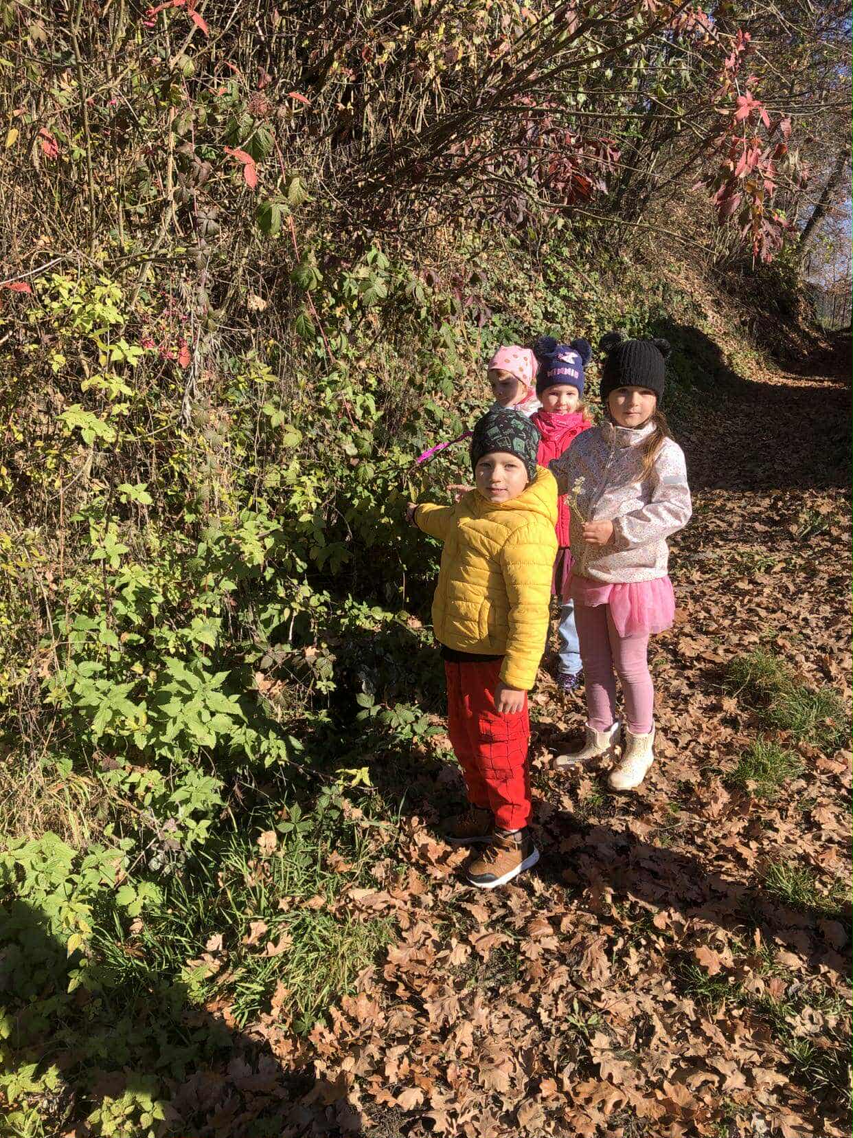 c57fce82-b42a-4eac-8c65-83dce6b51beb