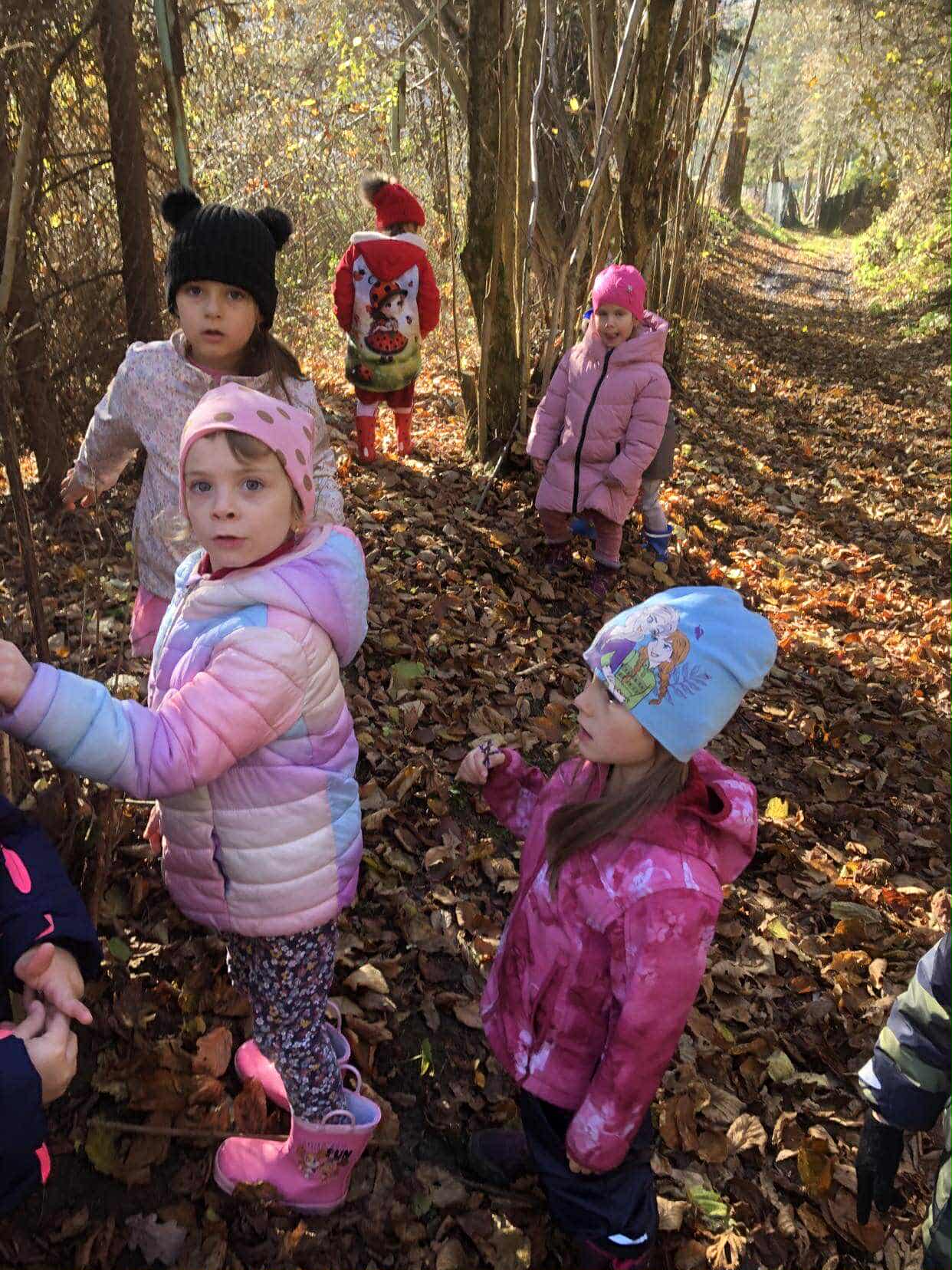 ca3f9784-5dab-484e-8dcc-ae748c6107e0