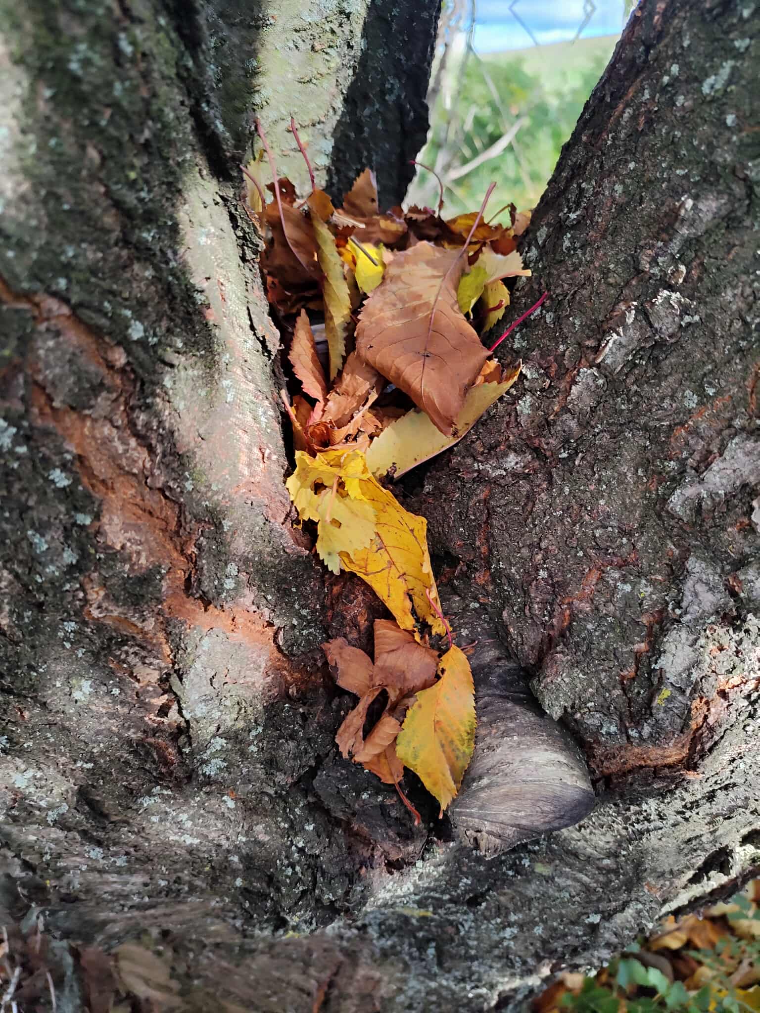 39b648b8-0ae6-4fb1-b1e5-9123e392a738