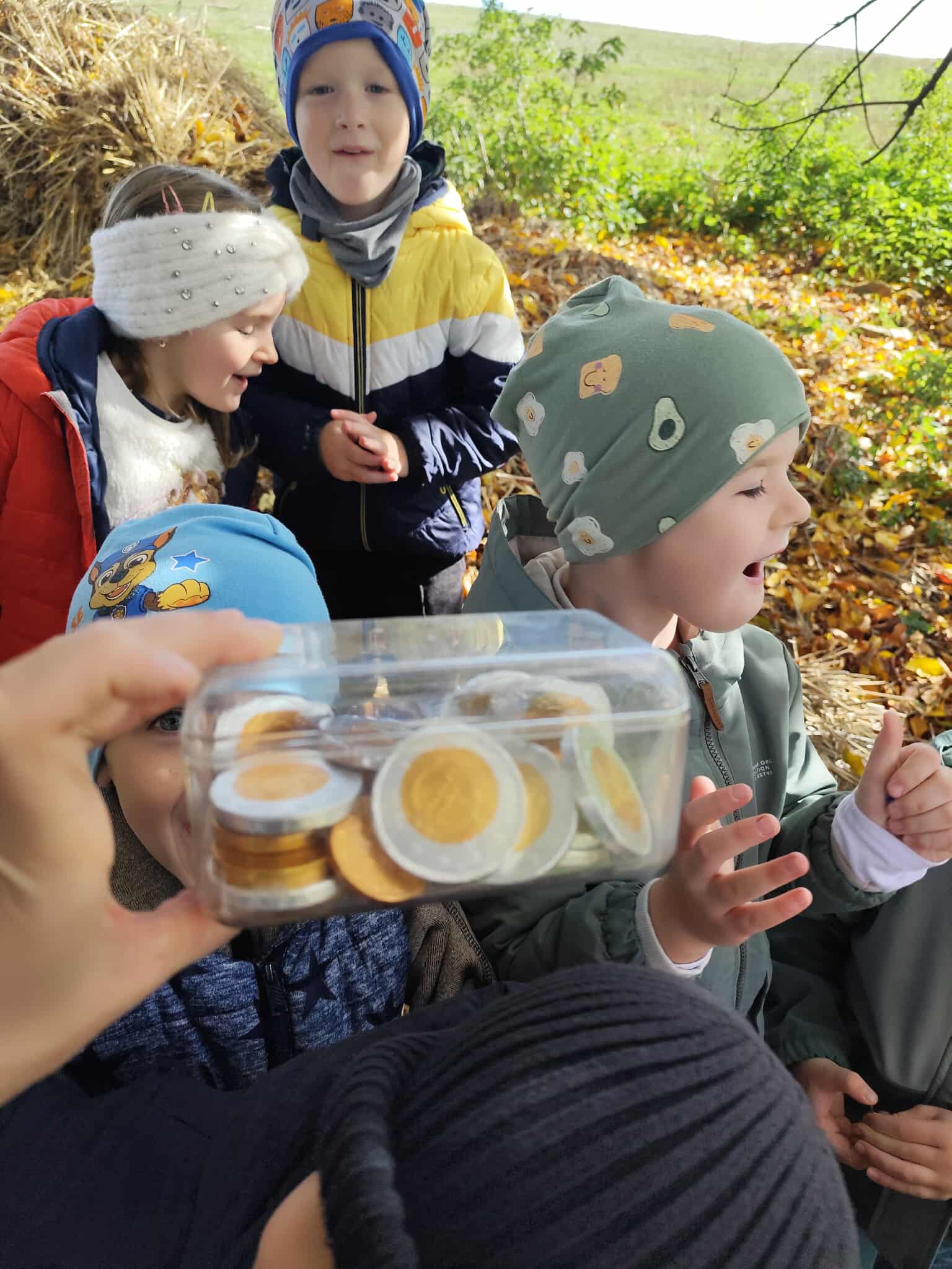 42b9621d-308a-4b8b-8e12-ce8fc554371e