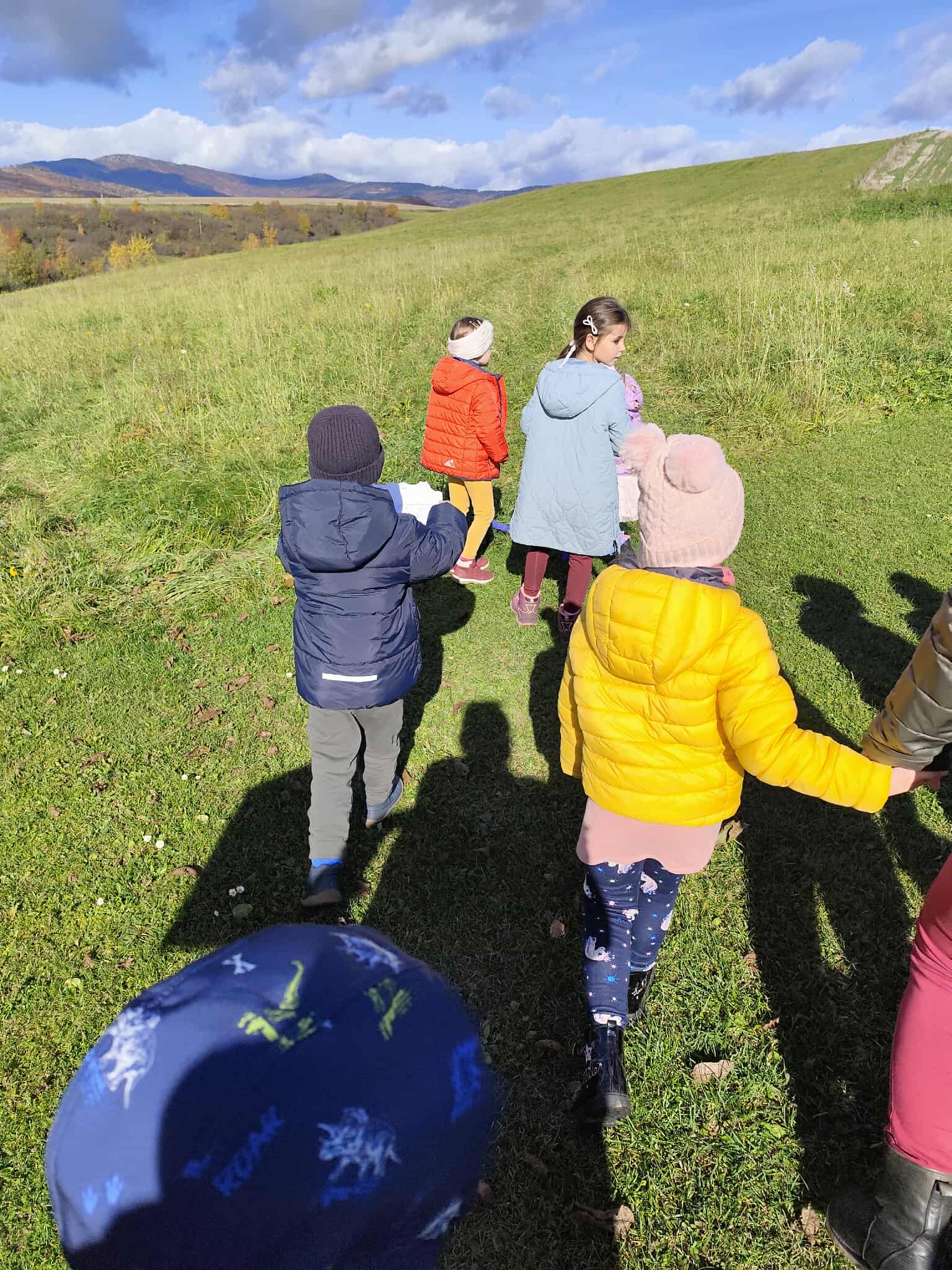 497acf21-fe53-4c1b-a1a0-31f877cb1114