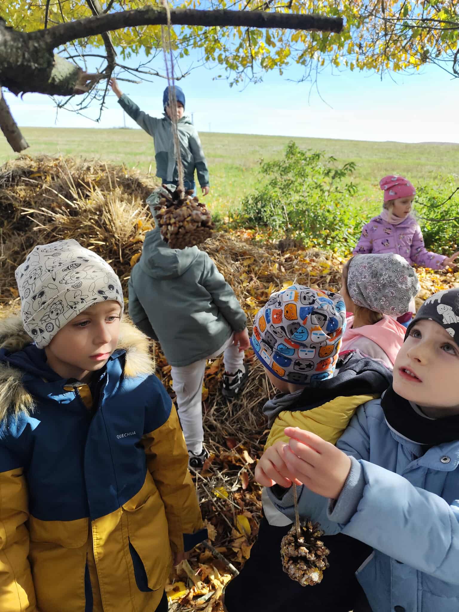 5559fa92-c106-4e92-b1cf-09b15e49d860