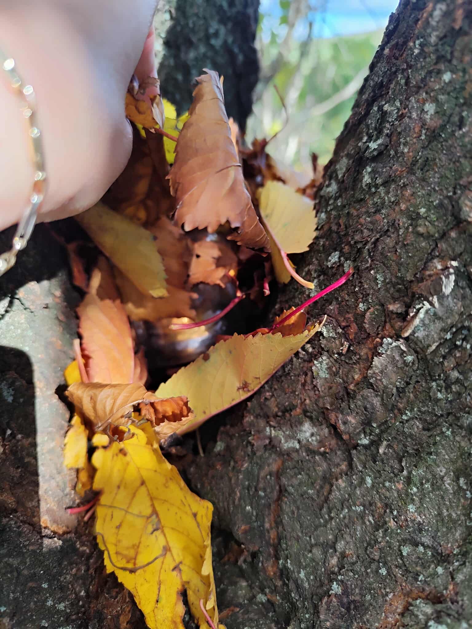 86033a5f-cf9d-49b1-ac5b-83b8e57f6d6c