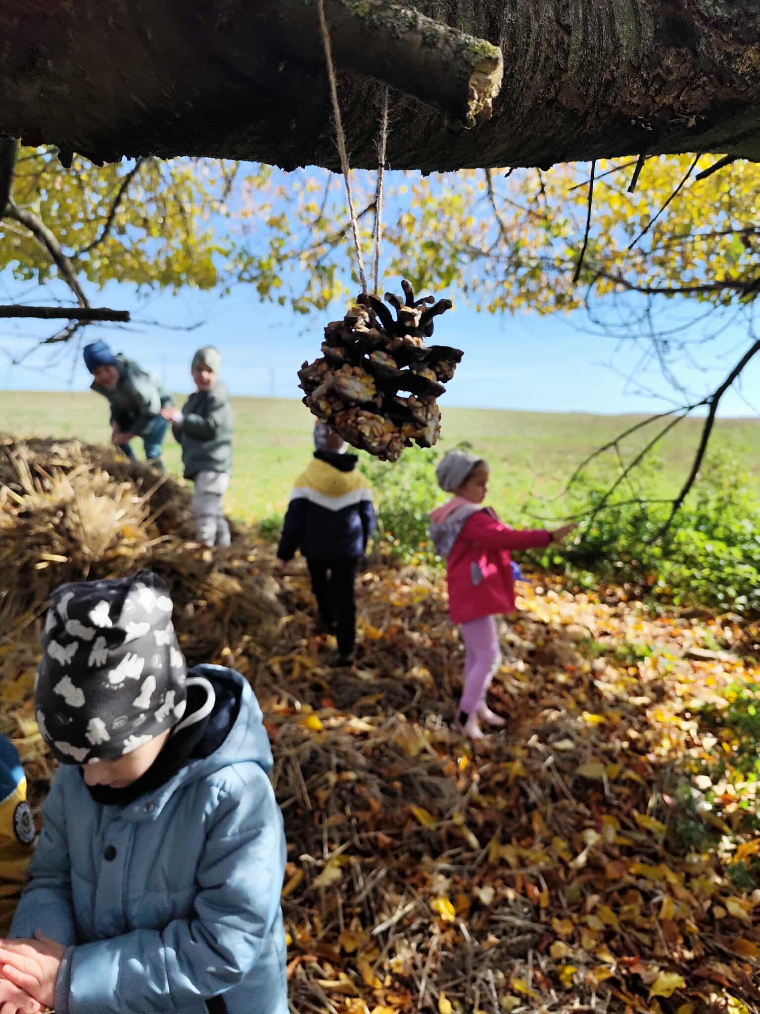 742114dc-937a-4bcb-9081-5c06cf8ccd30