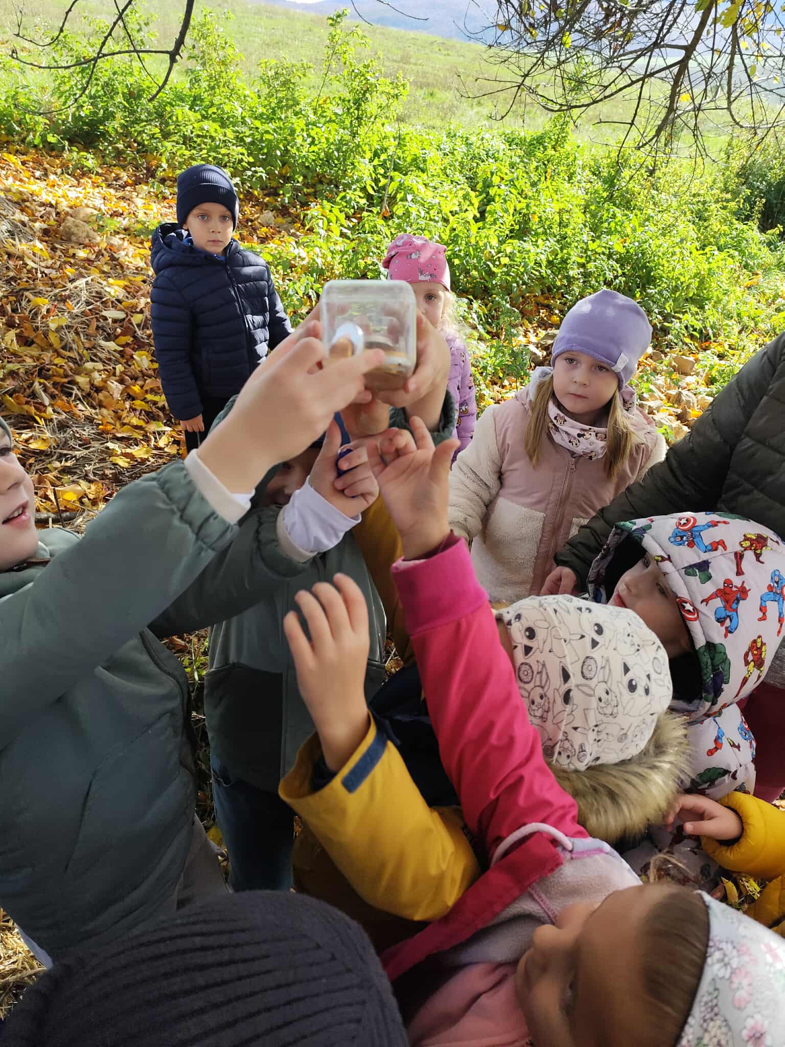 b7d4c432-d82e-4ba5-866e-e2de3783aa6e