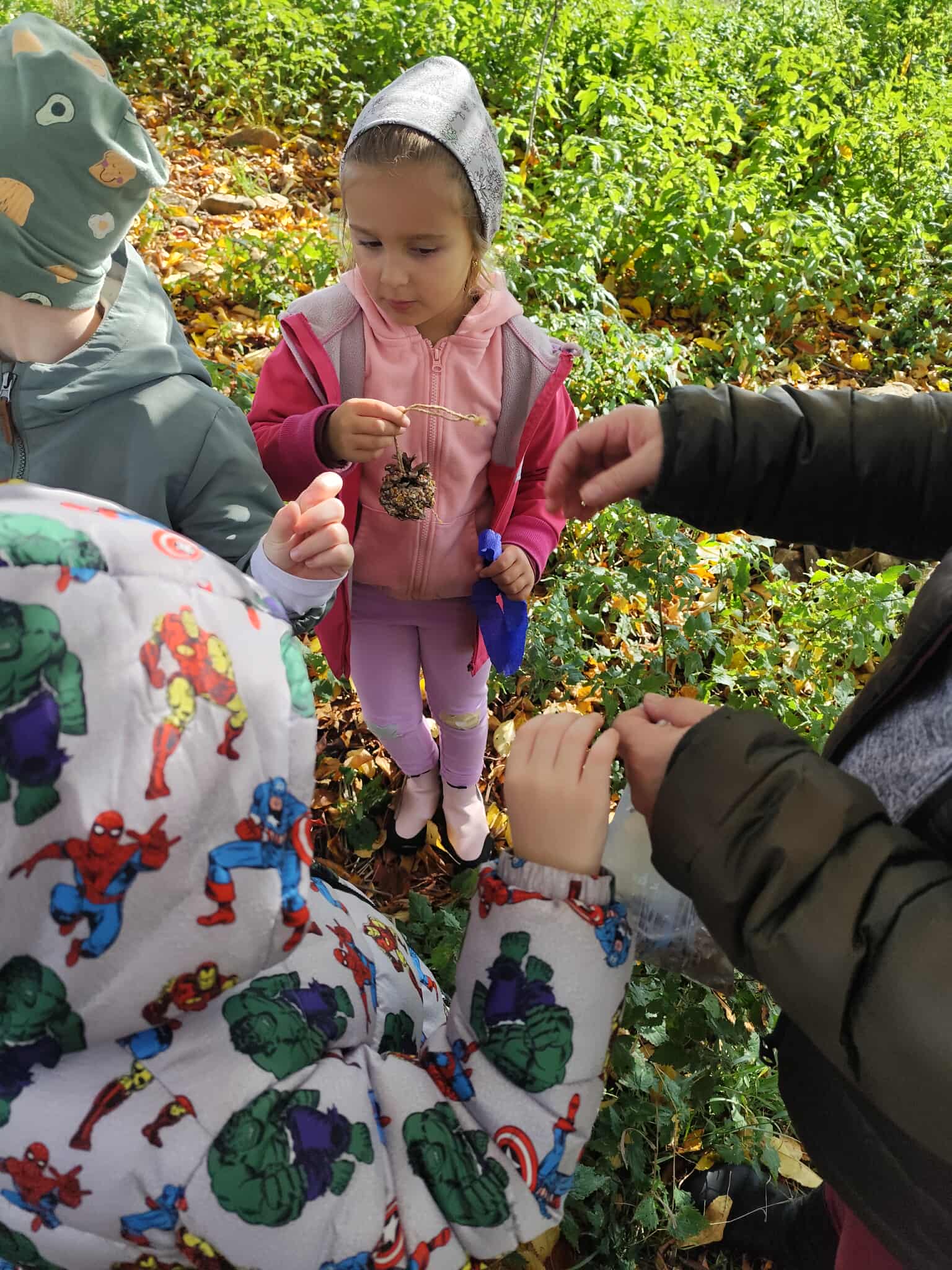 b7692227-dc82-4cd9-b2cb-14c16fed29ec