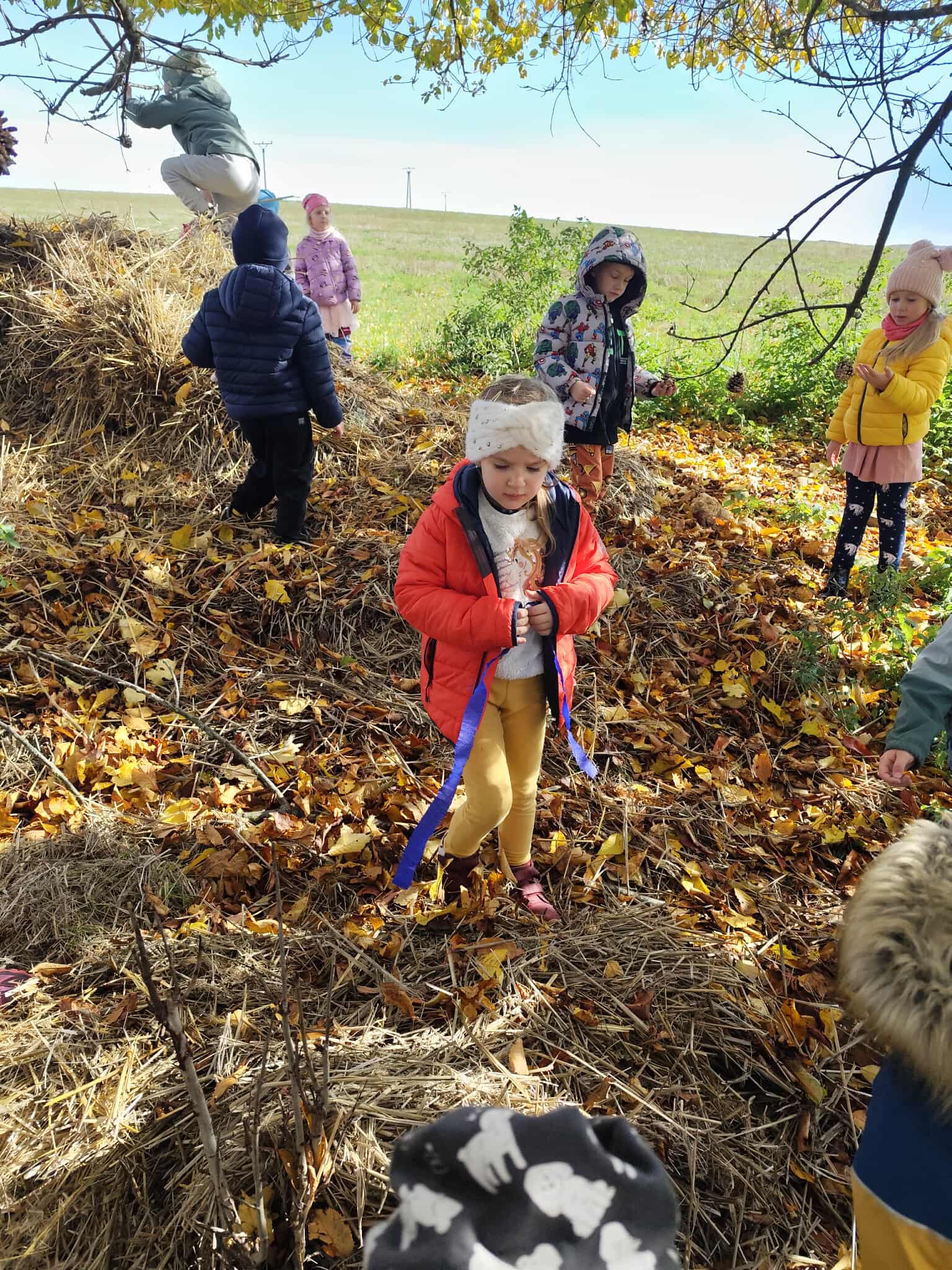 beb32da0-5f1d-466f-9d85-88475fb21a3a