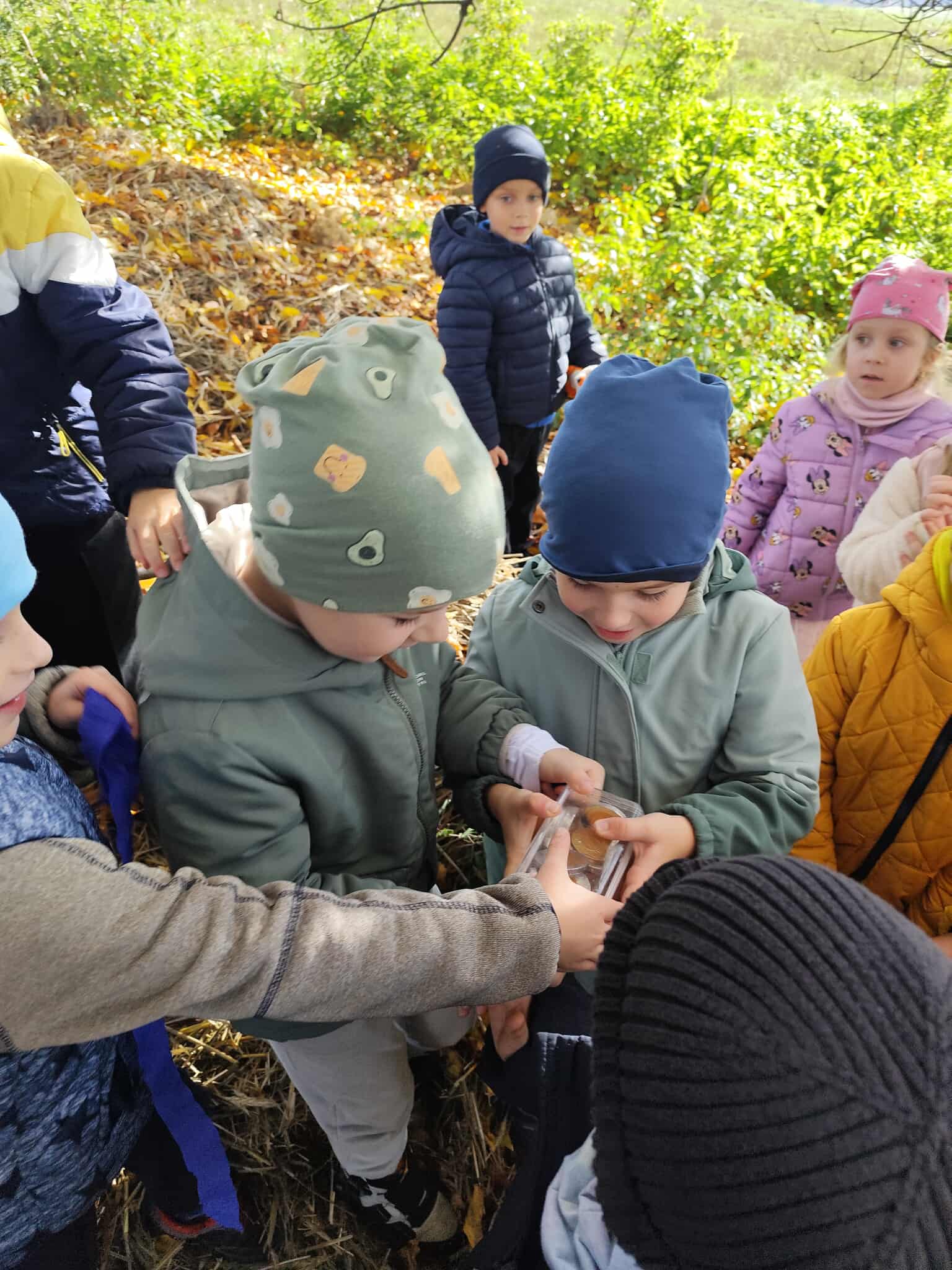 c6b7401e-798c-4d5a-bebb-92b26e450774