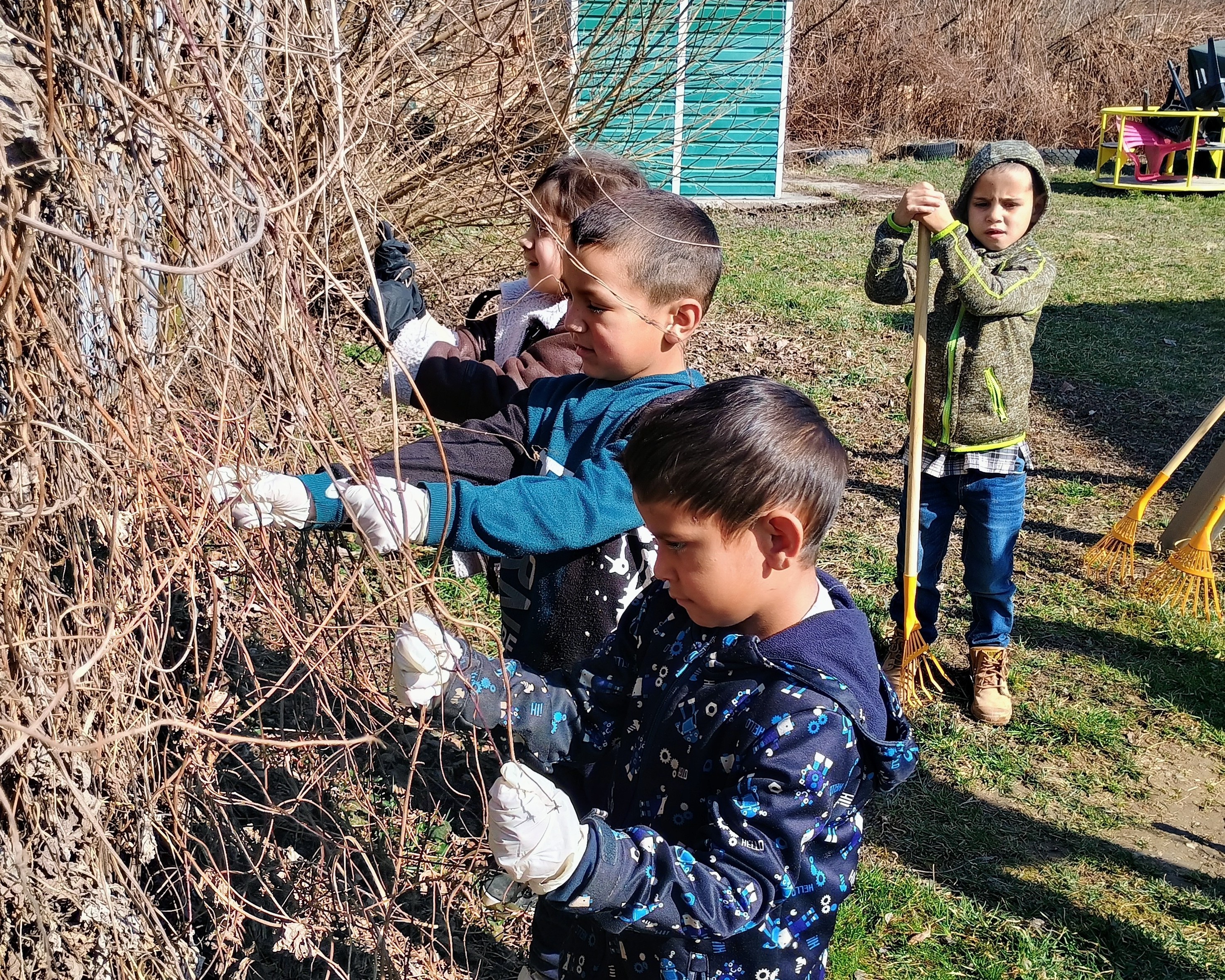 IMG_20260313_101845996_HDR_AE~3