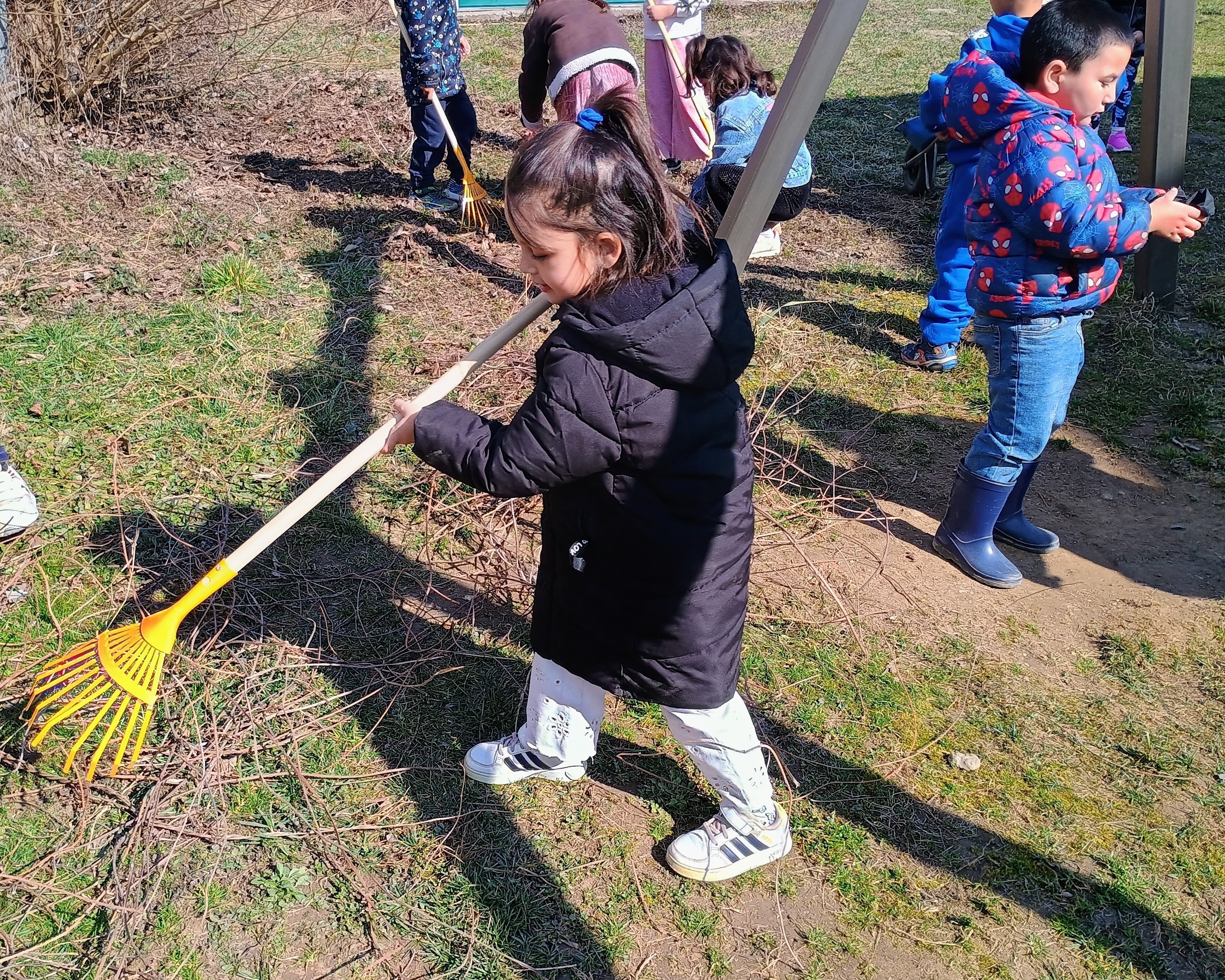 IMG_20260313_102841441_HDR_AE~4