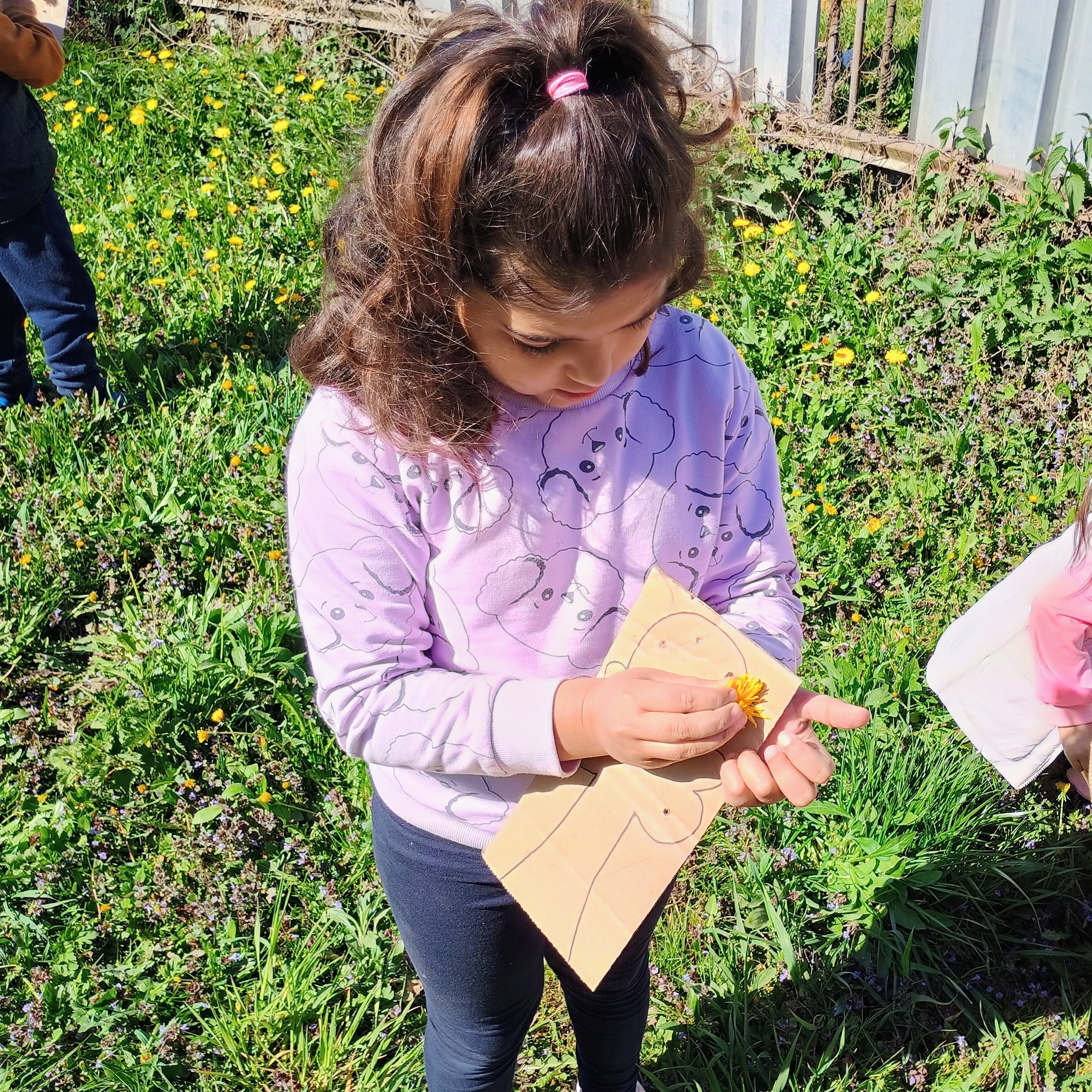 IMG_20260427_095557178_HDR_AE~2