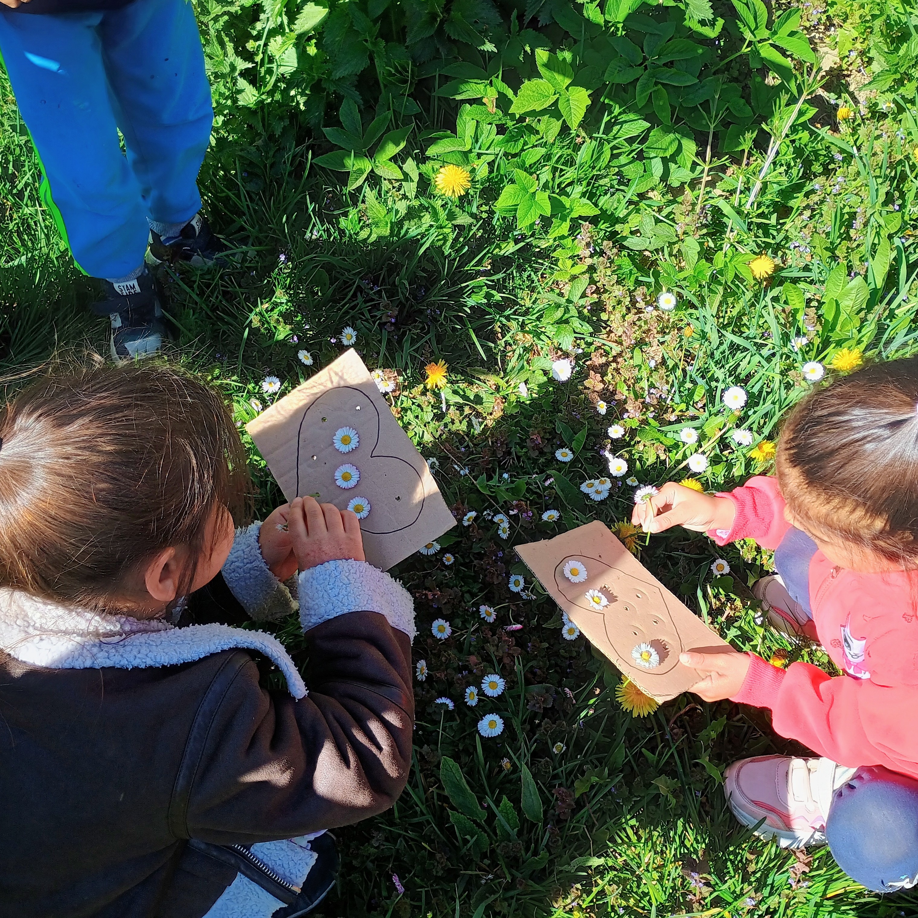 IMG_20260427_095639980_HDR_AE~2